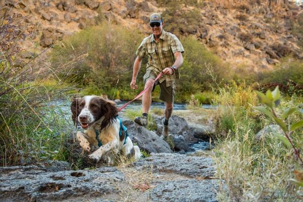 Ruffwear Web Master Harness Blue Dusk Gr. XXS